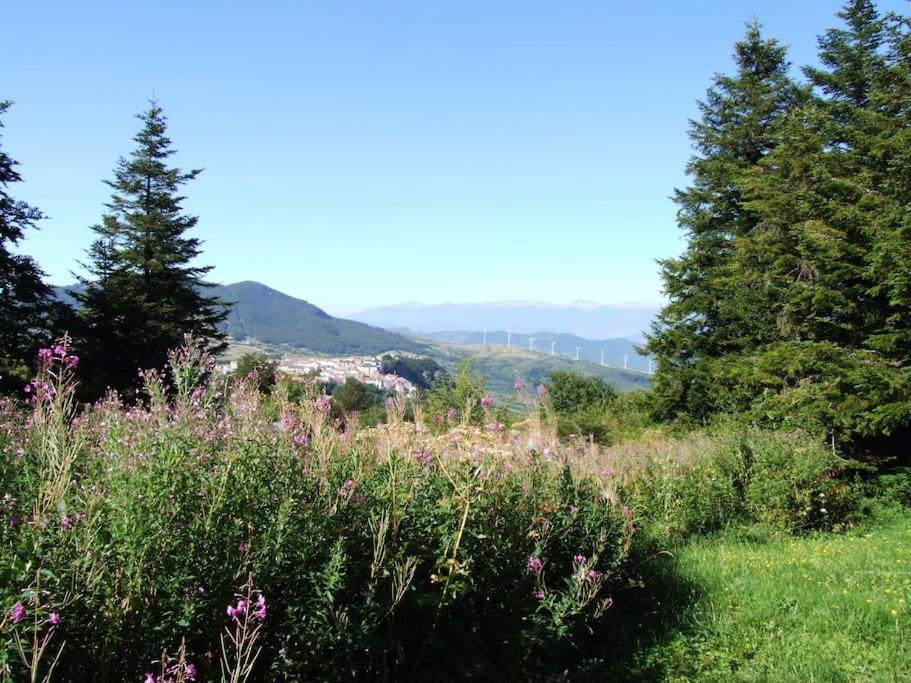 Casarosaria Italie Molise Pietrabbondante Villa Exterior foto